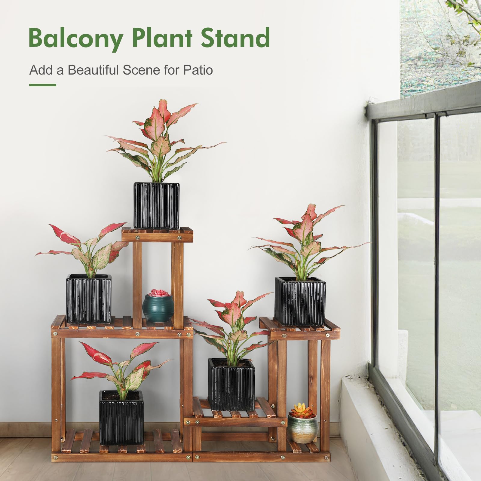 COOGOU plants displayed on a balcony illustrating decorative use and sunlight access