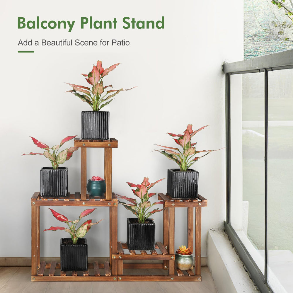 COOGOU plants displayed on a balcony illustrating decorative use and sunlight access