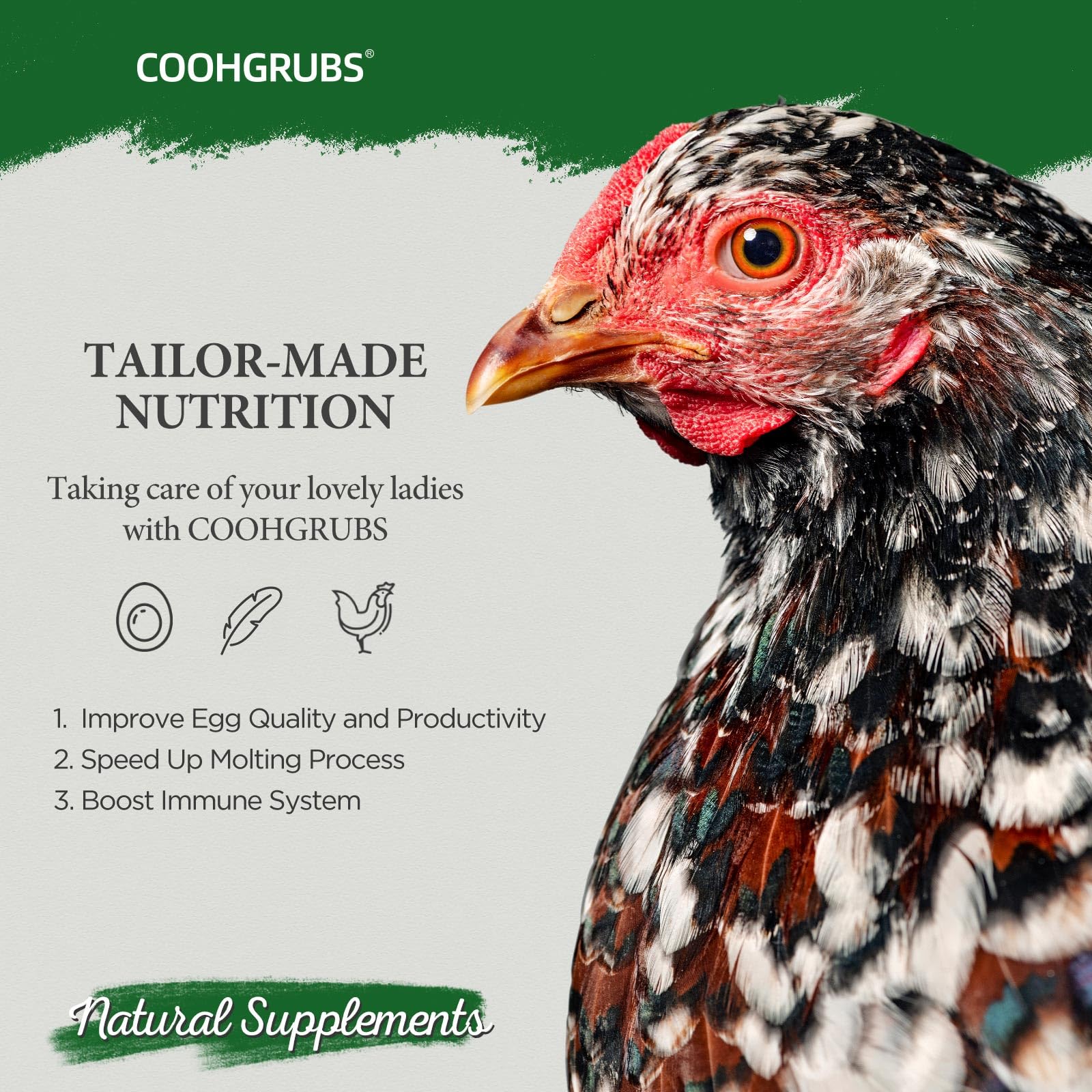 COOHGRUBS label detail with vet-safe certification visible for trust