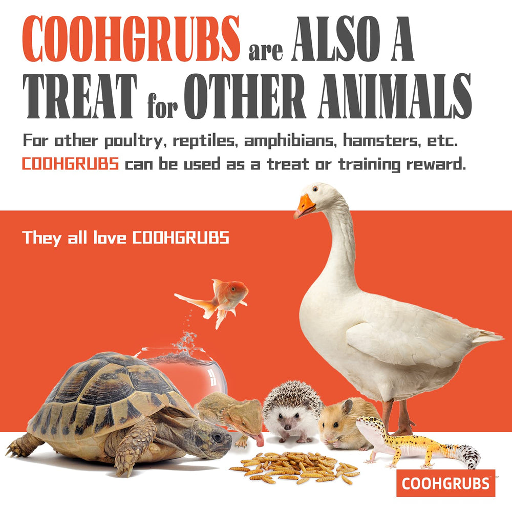 COOHGRUBS fed during molting showing feather regrowth support