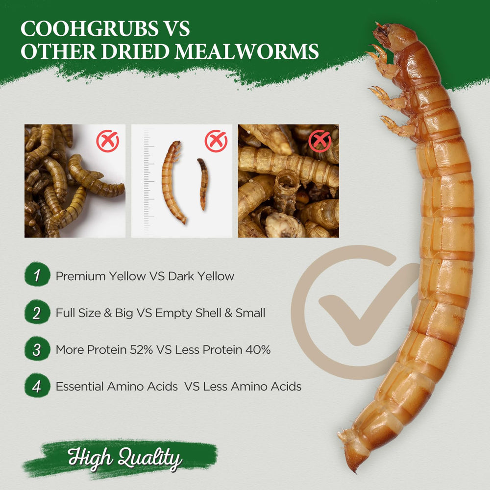 COOHGRUBS size comparison in hand shows generous 5 lb supply