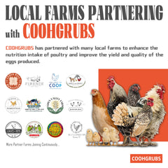 COOHGRUBS serving in hand to show portion size and feeding convenience