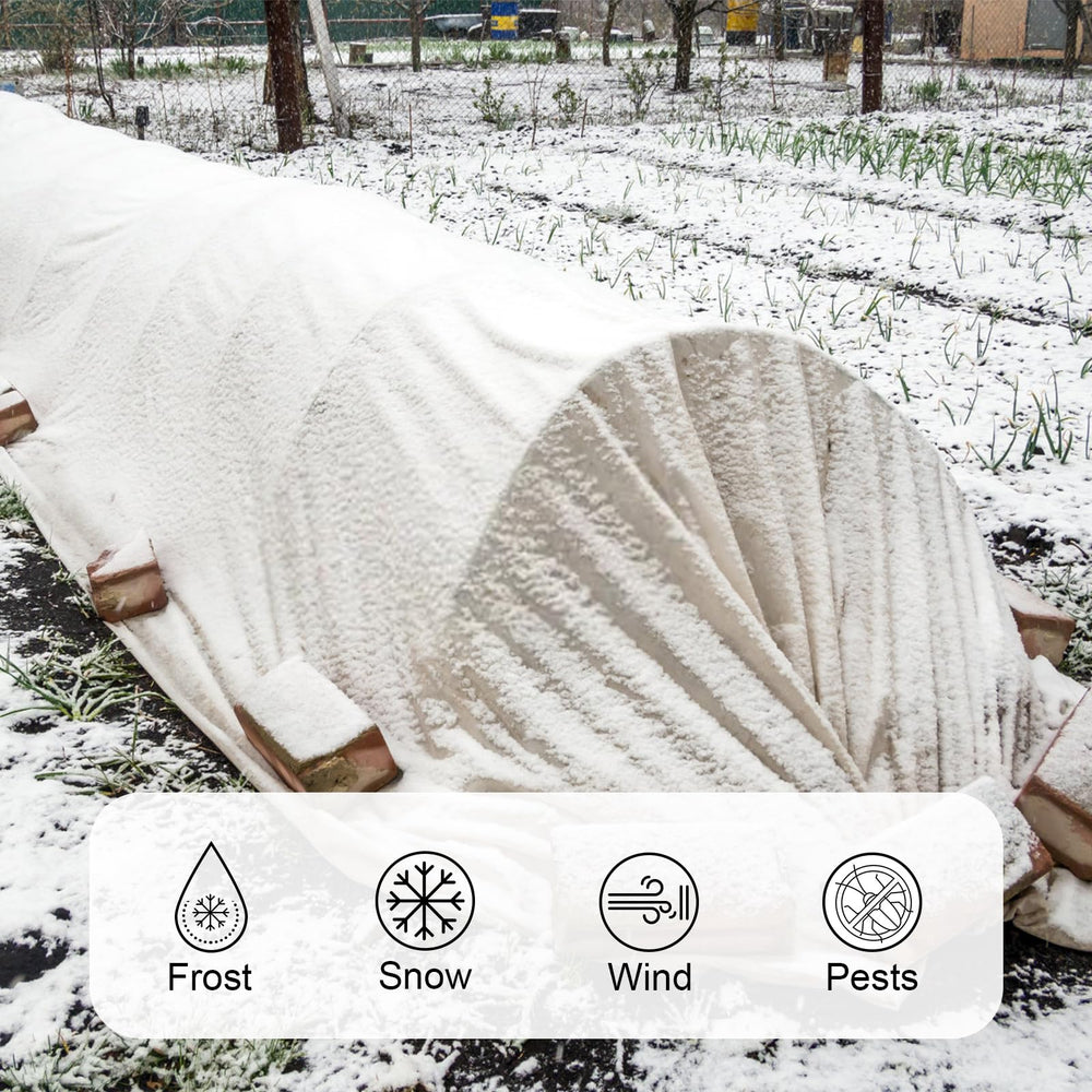Cookmaster protecting strawberry bed from birds and cold