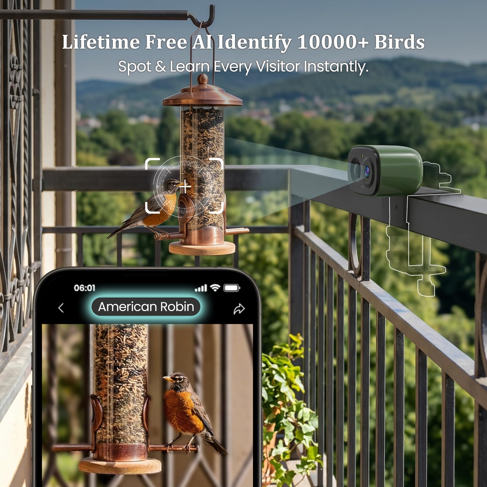 COOLFLY capturing birds at feeder in daylight for clear species identification