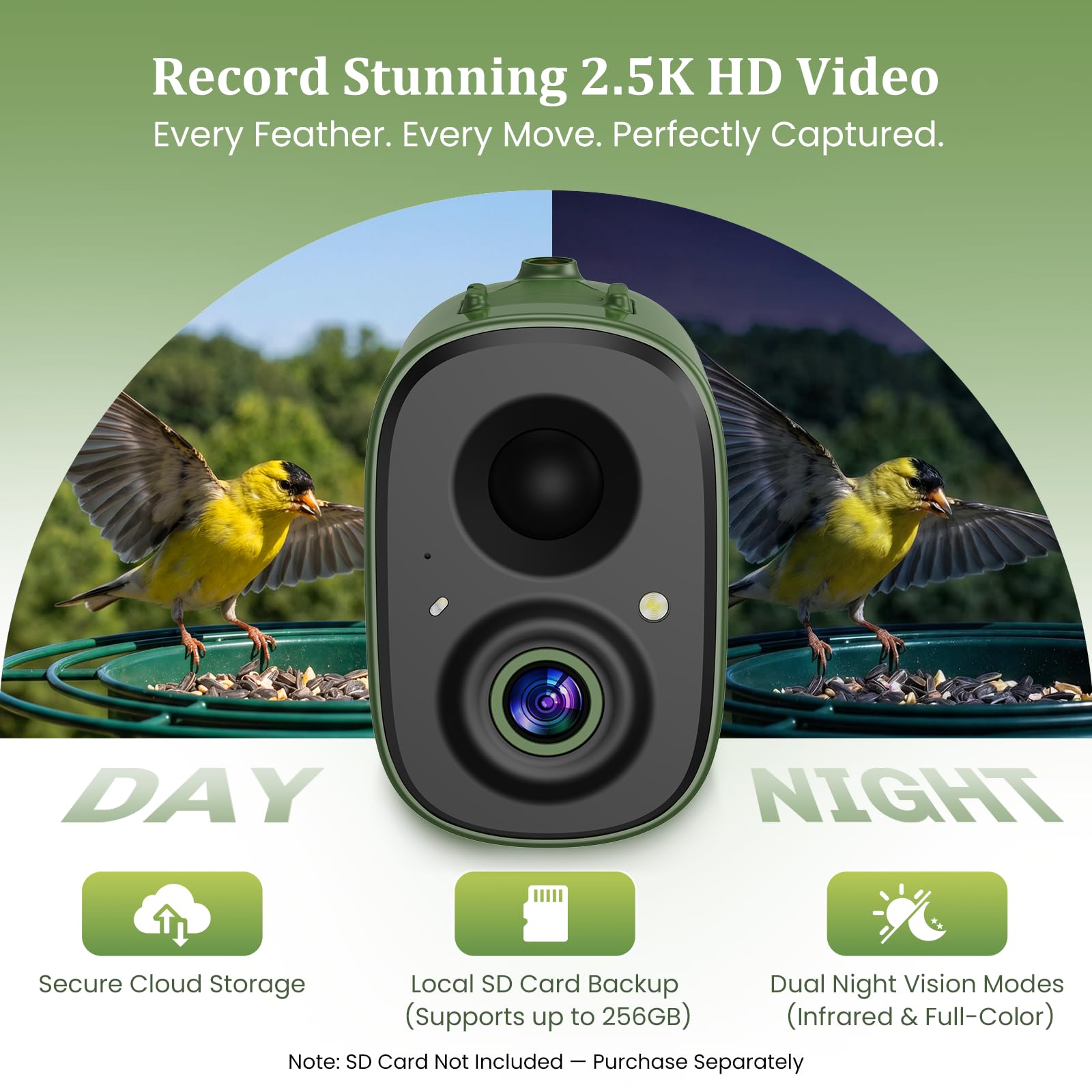 COOLFLY color night vision showing nighttime visibility advantage