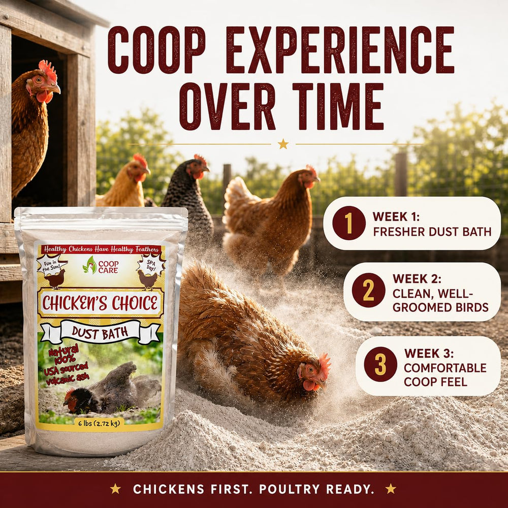 Dust bath container filled with Coop Care mix displaying correct depth and setup.