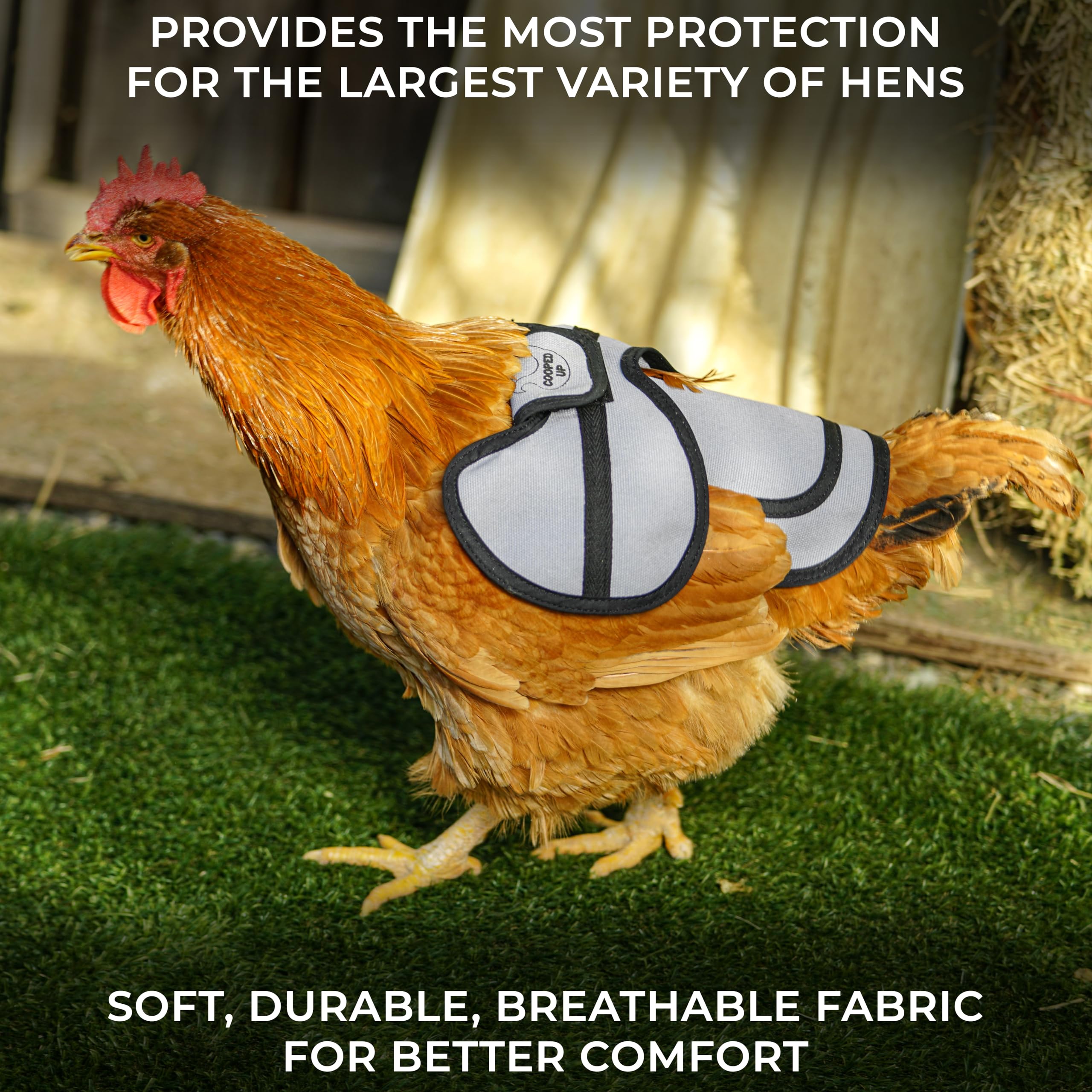 COOPED UP adjustable strap detail with clasp for secure, customizable hen fit