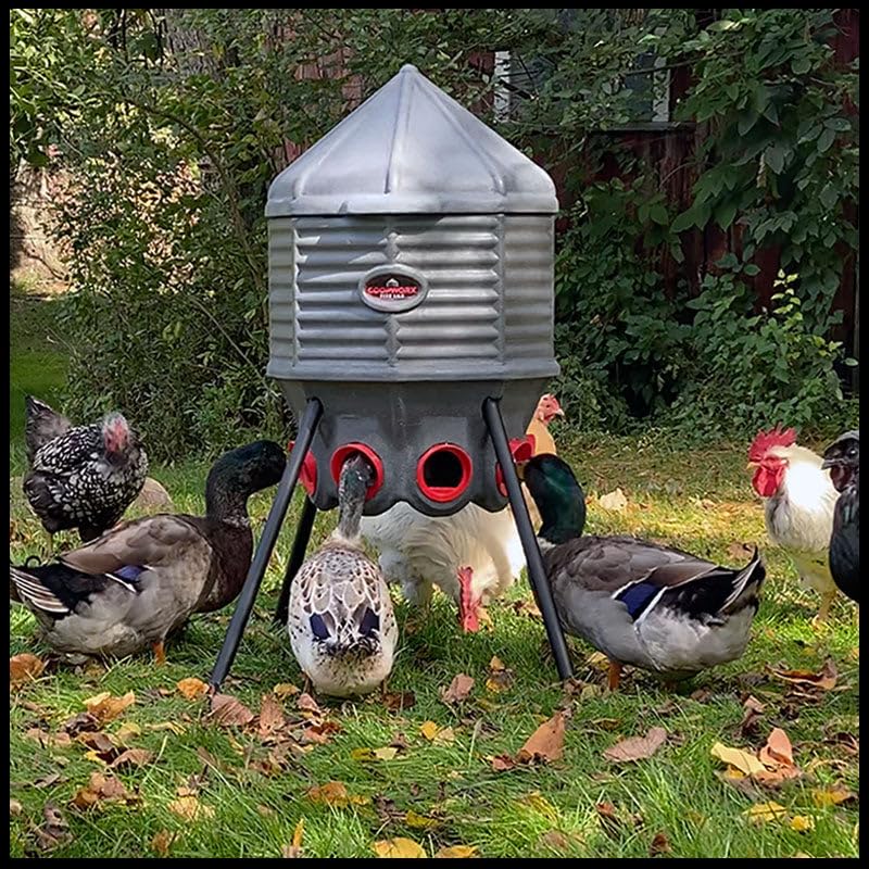 CoopWorx hinged lid open for easy filling and secure roost resistance