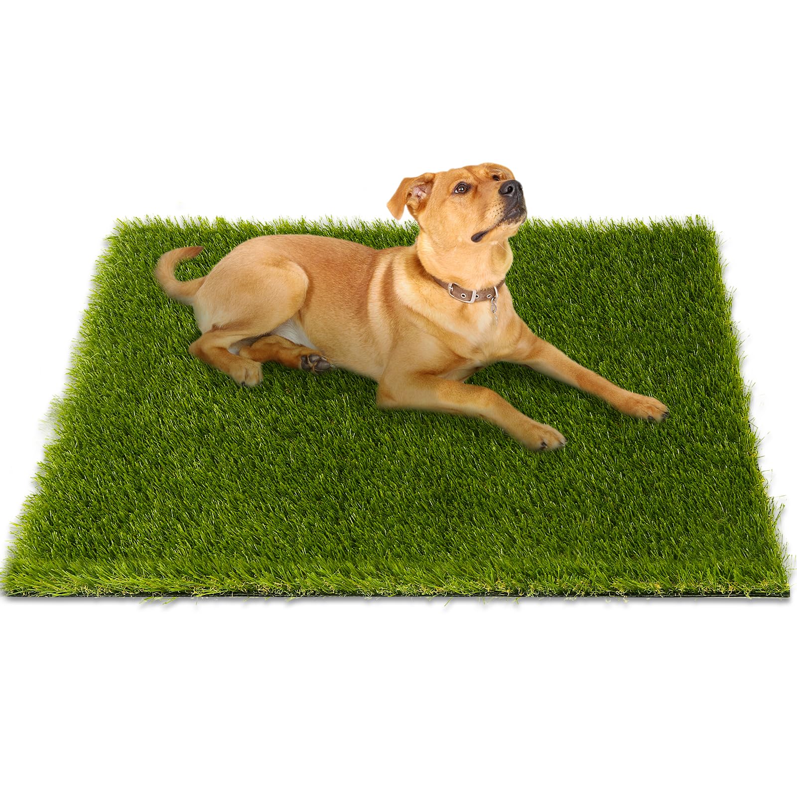 CooRug front view mat showing realistic lawn look and easy placement