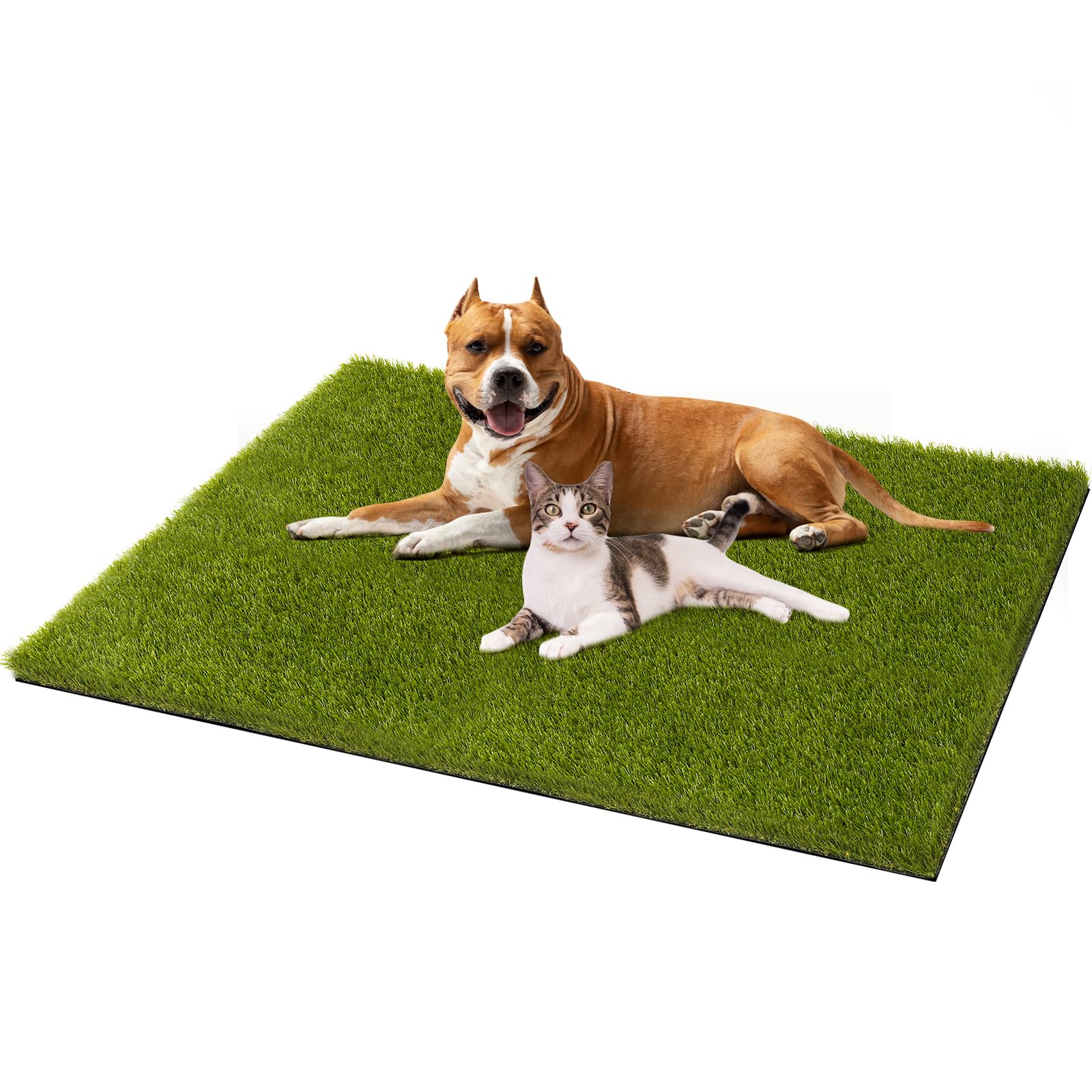 CooRug front view of artificial turf pad showing lifelike lawn and convenience