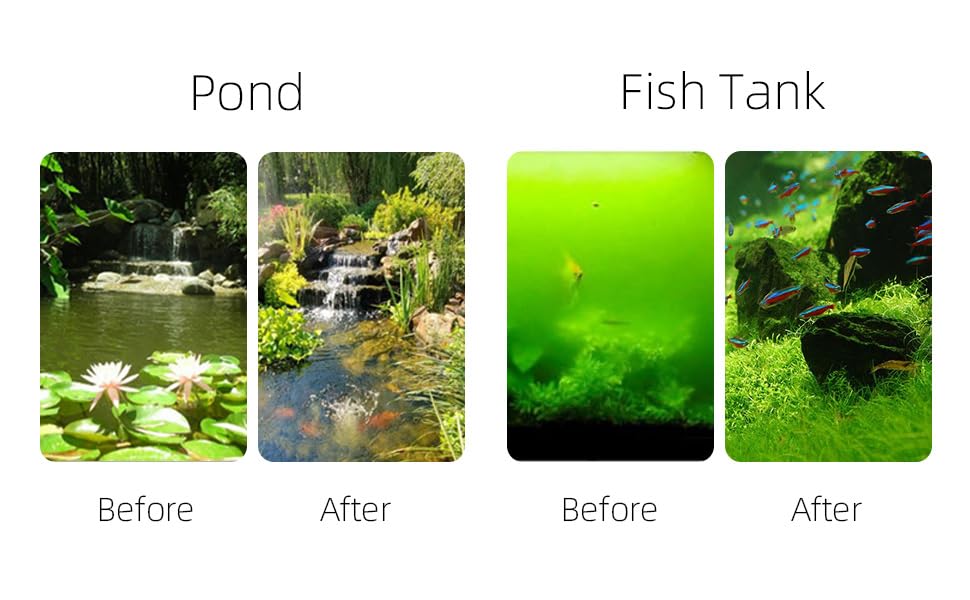 coospider-repta boxed four-pack staged by a pond illustrating convenient replacement supply