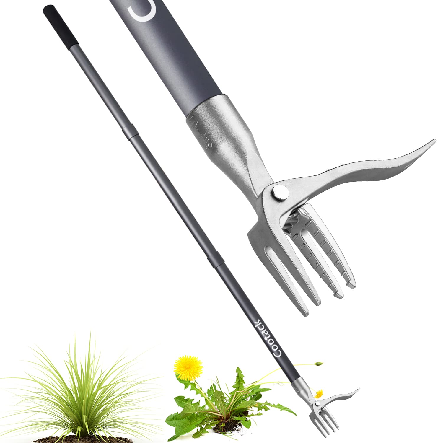 Cootack front view of full 52-inch weed puller showing reach and ergonomic handle benefit