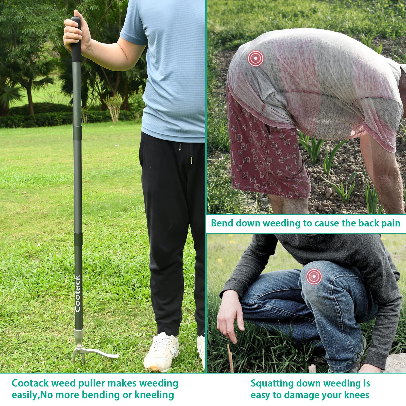 Cootack next to a ruler for scale showing 52-inch length and extended reach benefit