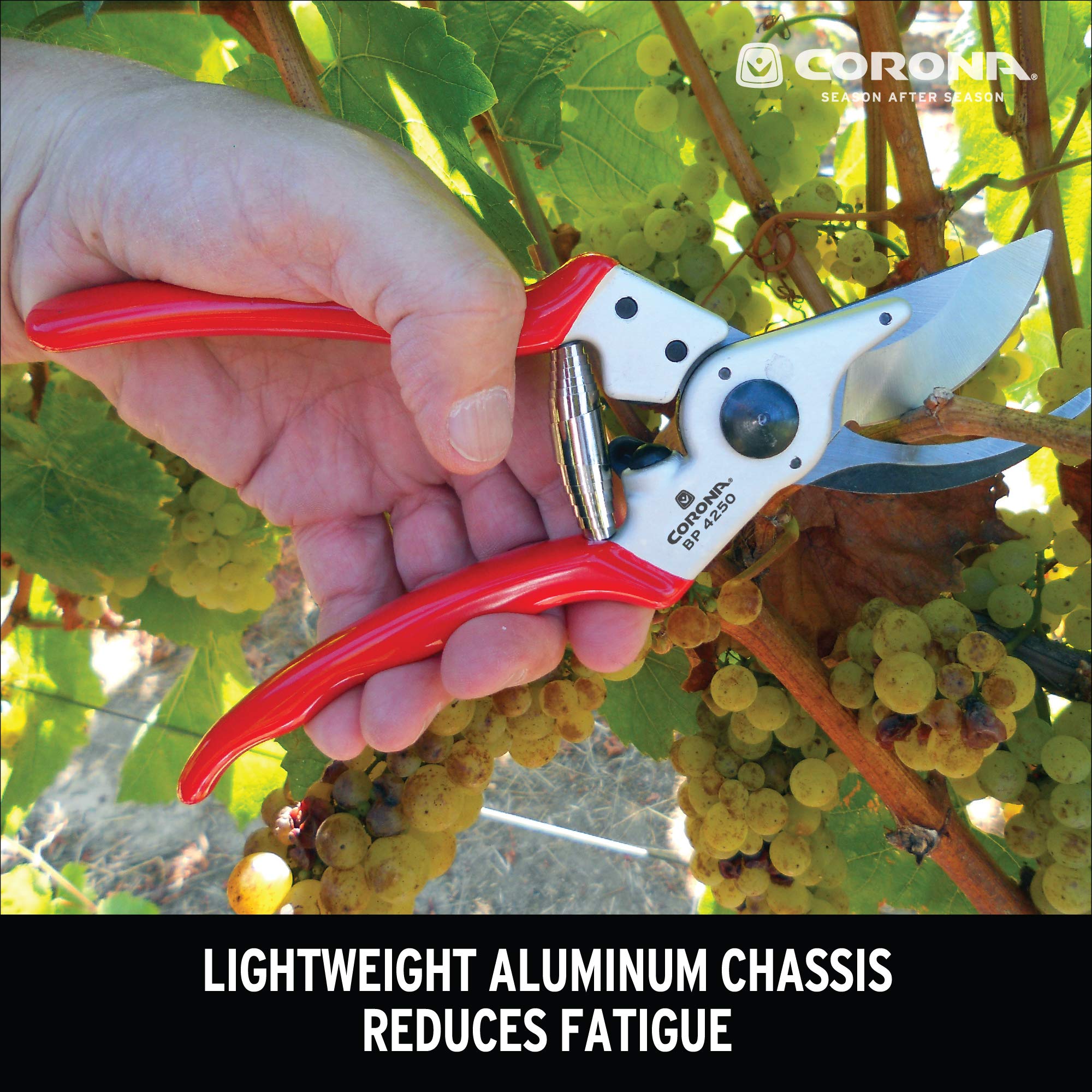 Corona BP 4250 beside ruler size comparison demonstrating its 1-inch cutting capacity