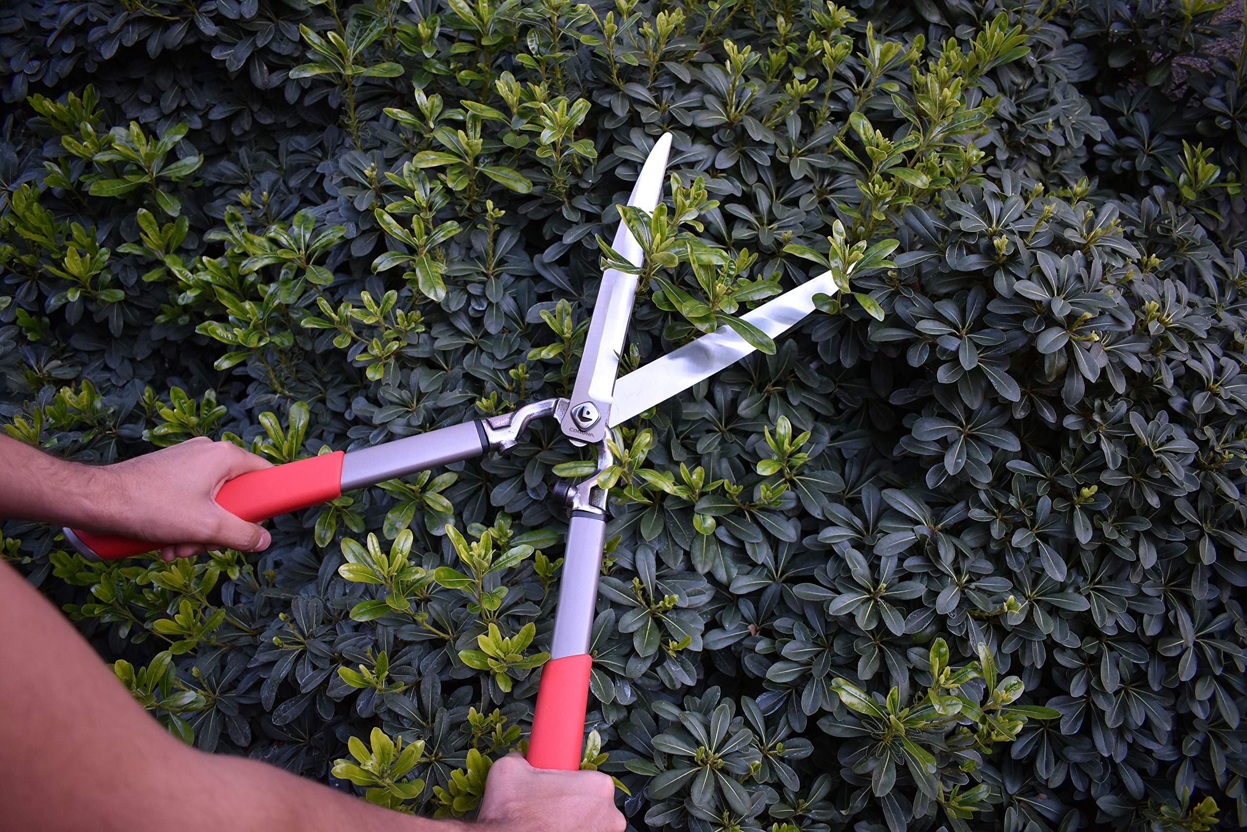 Corona Clipper trimming a garden hedge illustrating precise cuts and reduced hand fatigue