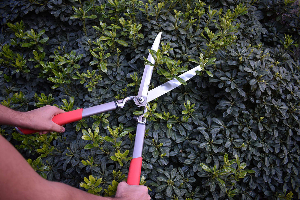 Corona Clipper trimming a garden hedge illustrating precise cuts and reduced hand fatigue