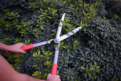 Corona Clipper trimming a garden hedge illustrating precise cuts and reduced hand fatigue
