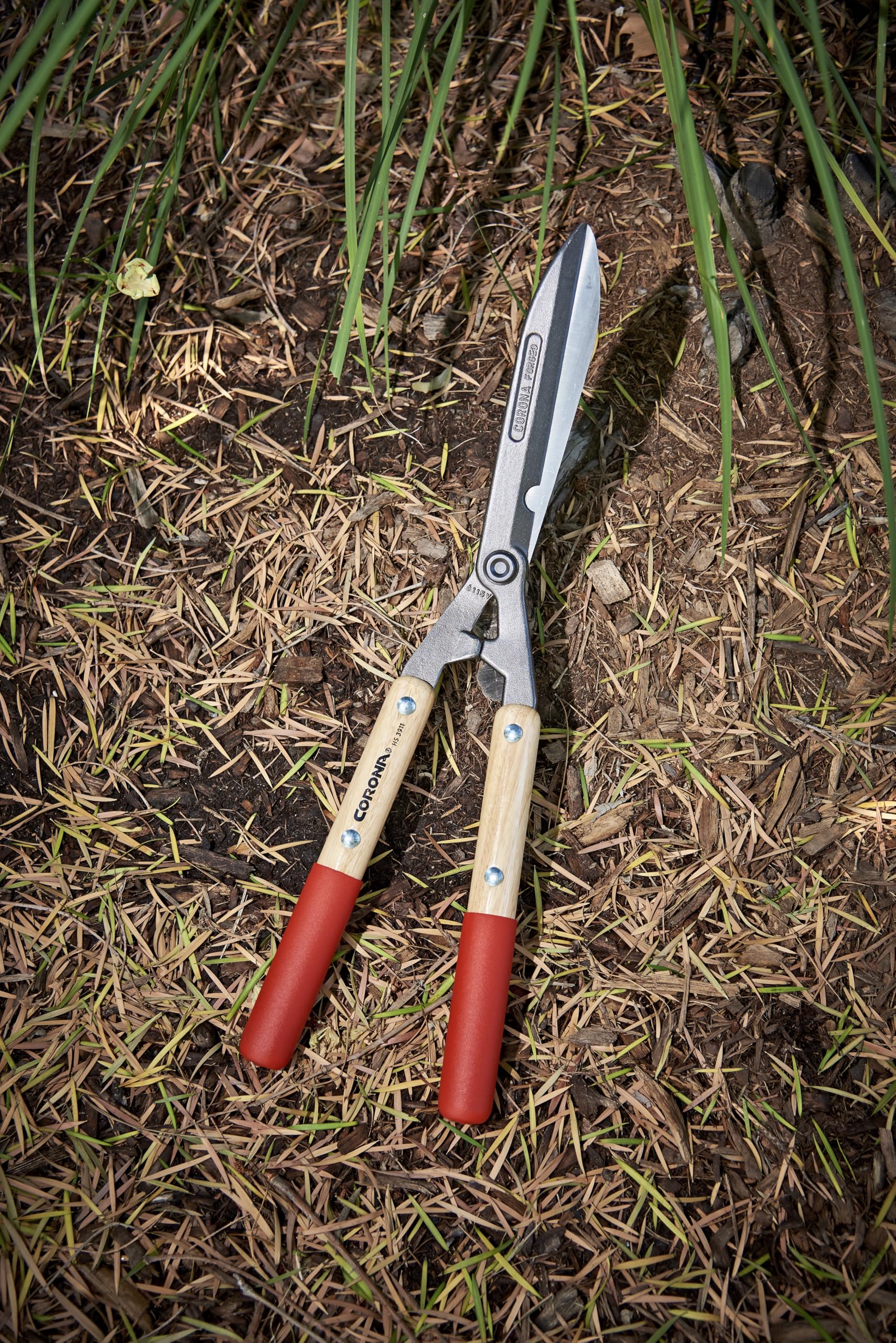 Corona Clipper blade close-up showing forged edge and resharpenable surface benefit