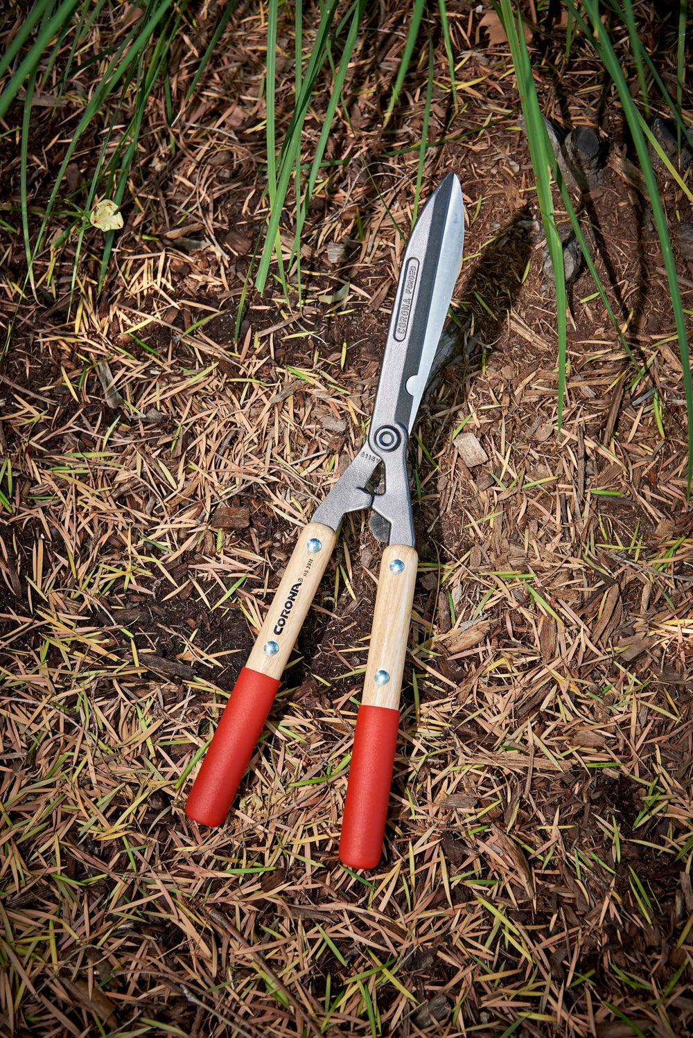 Corona Clipper blade close-up showing forged edge and resharpenable surface benefit