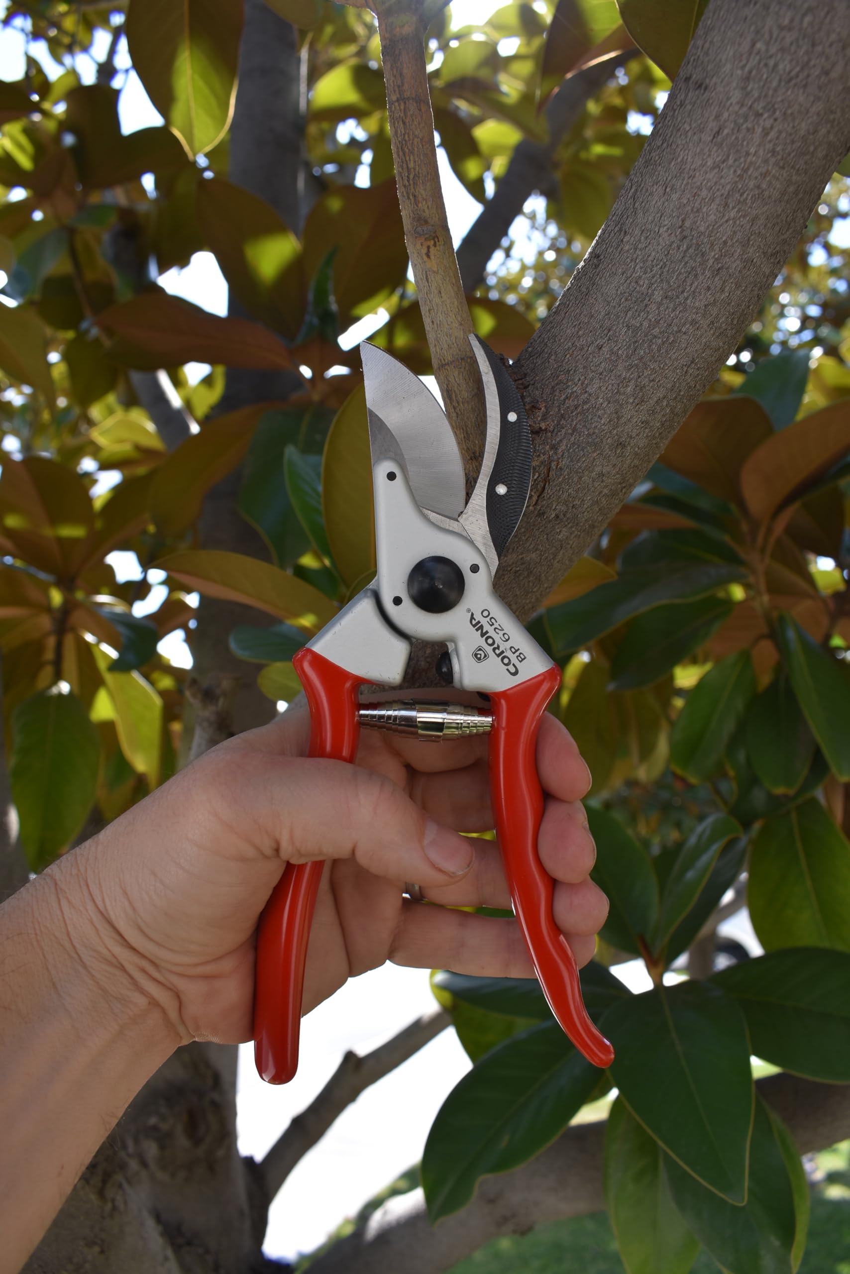 Corona Clipper forged-steel blade close-up showing clean cut edge and durability