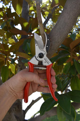 Corona Clipper forged-steel blade close-up showing clean cut edge and durability
