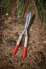 Corona Clipper blade close-up showing forged edge and resharpenable surface benefit