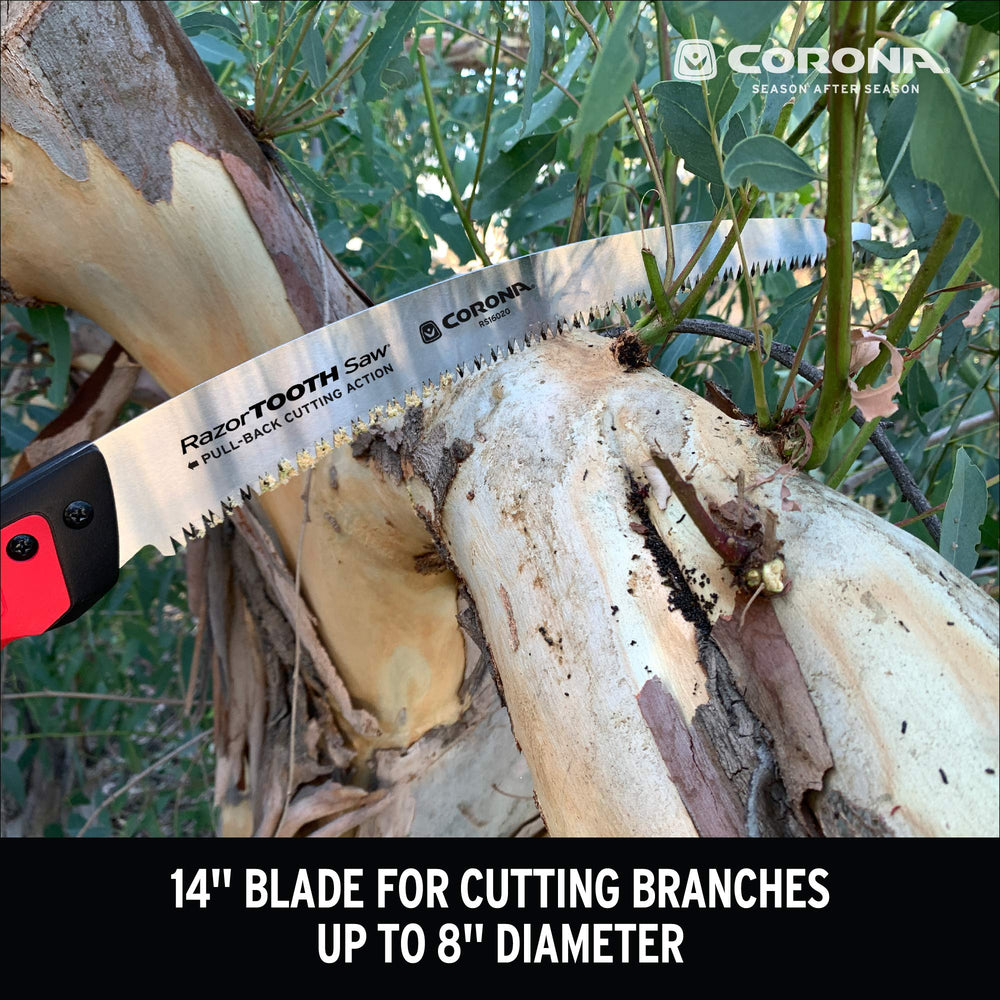 Corona Clipper blade beside ruler showing 14-inch length for reach