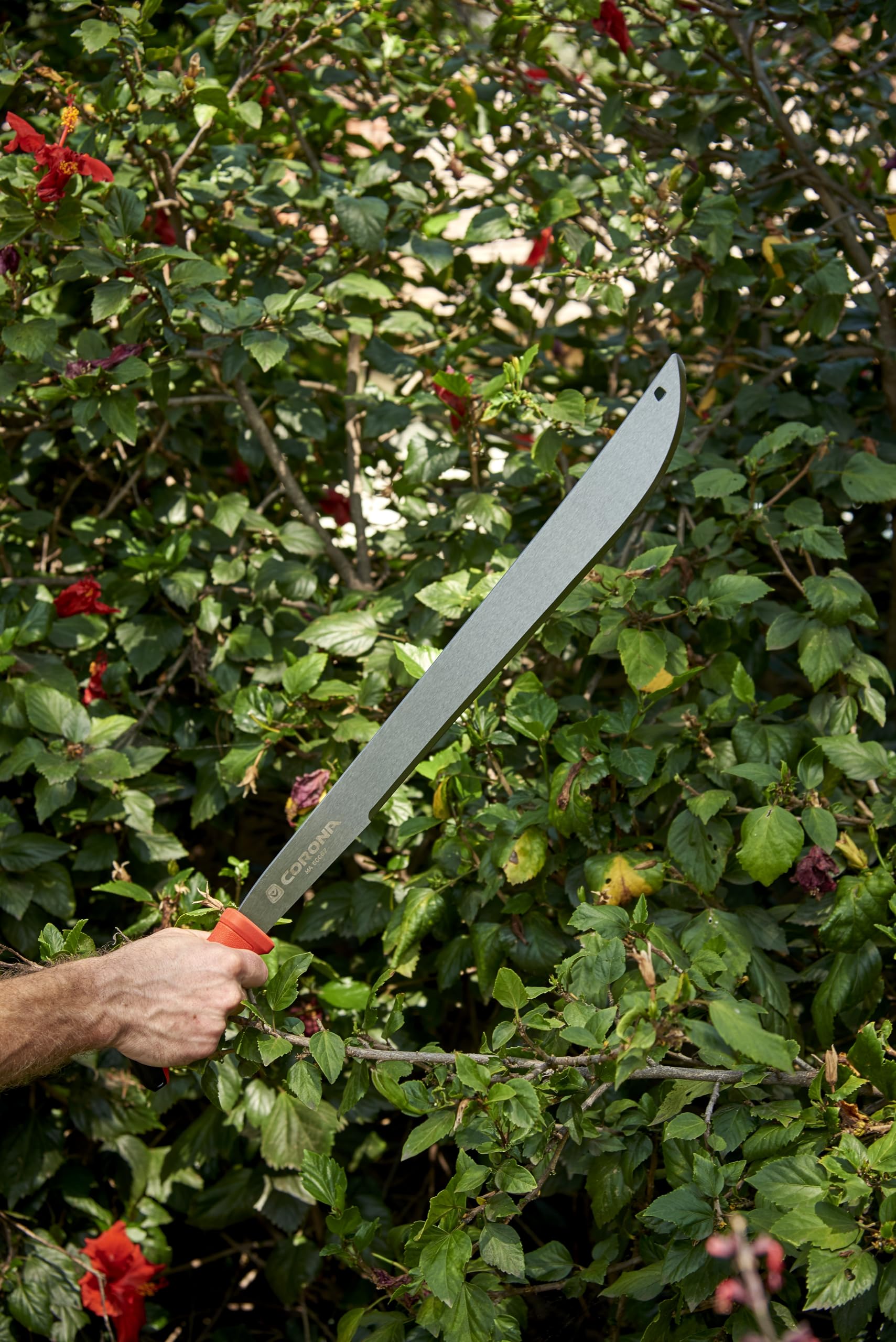 Corona Clipper close-up of blade edge showing clean grind for efficient vegetation slicing