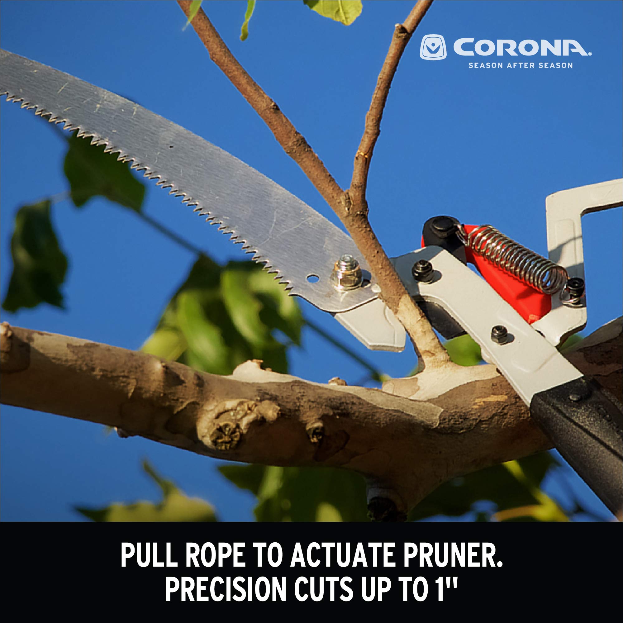 Corona Clipper fiberglass pole joined to full length offering safe overhead reach
