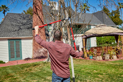 Corona Clipper hook close-up with sap groove, reduces binding for smoother cutting