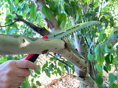 Corona Clipper handle texture demonstrating ergonomic non-slip comfort