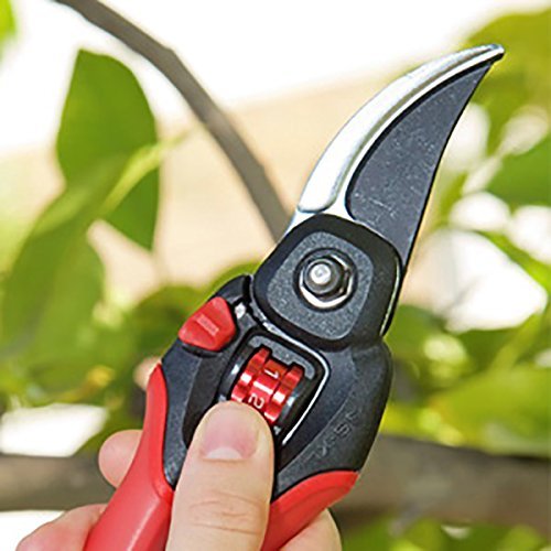 Corona Clipper in gardener's hand trimming a rose bush for comfortable use