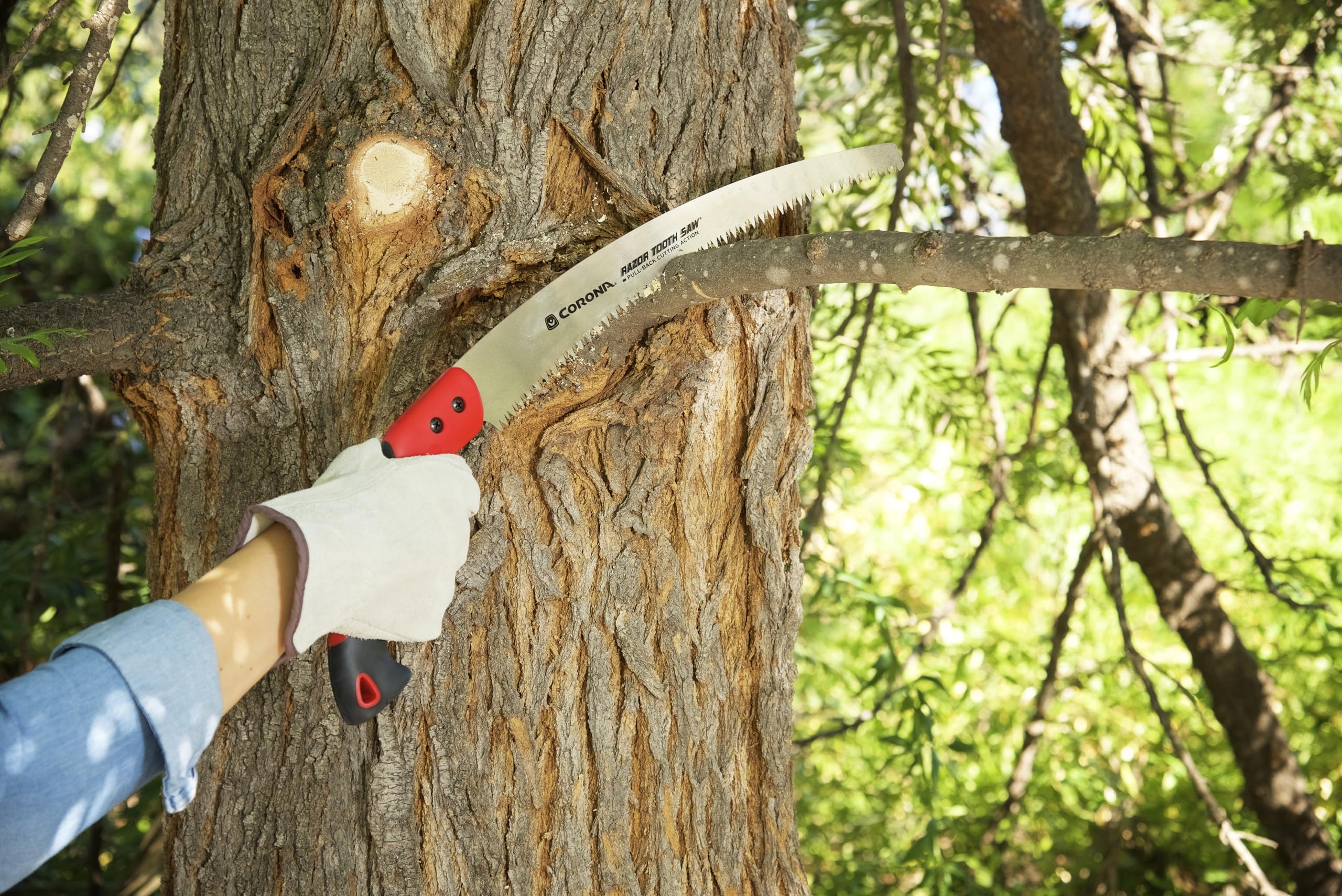 Corona Clipper in use pruning an 8-inch branch showing secure cutting and reach