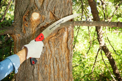 Corona Clipper in use pruning an 8-inch branch showing secure cutting and reach