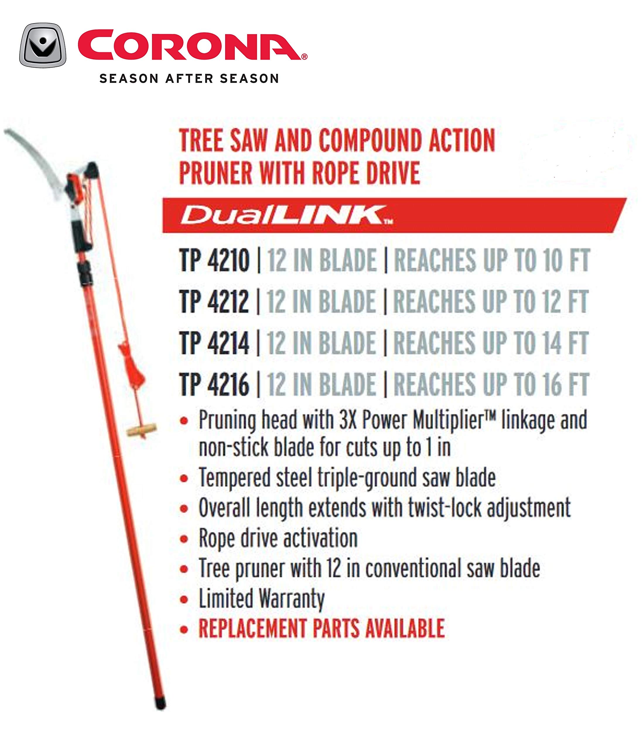 Corona Clipper in use trimming a high limb for ladder-free pruning