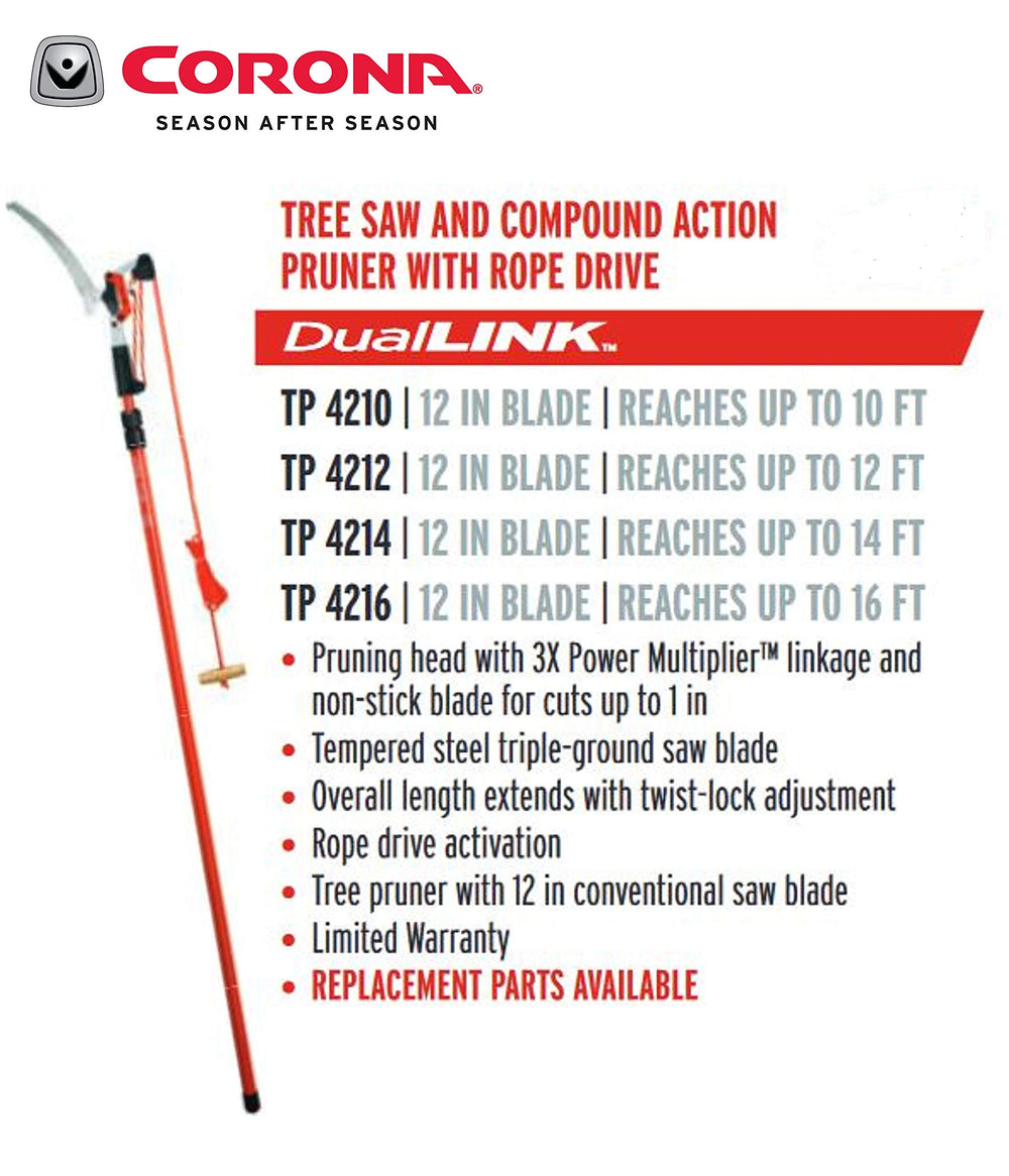 Corona Clipper in use trimming a high limb for ladder-free pruning