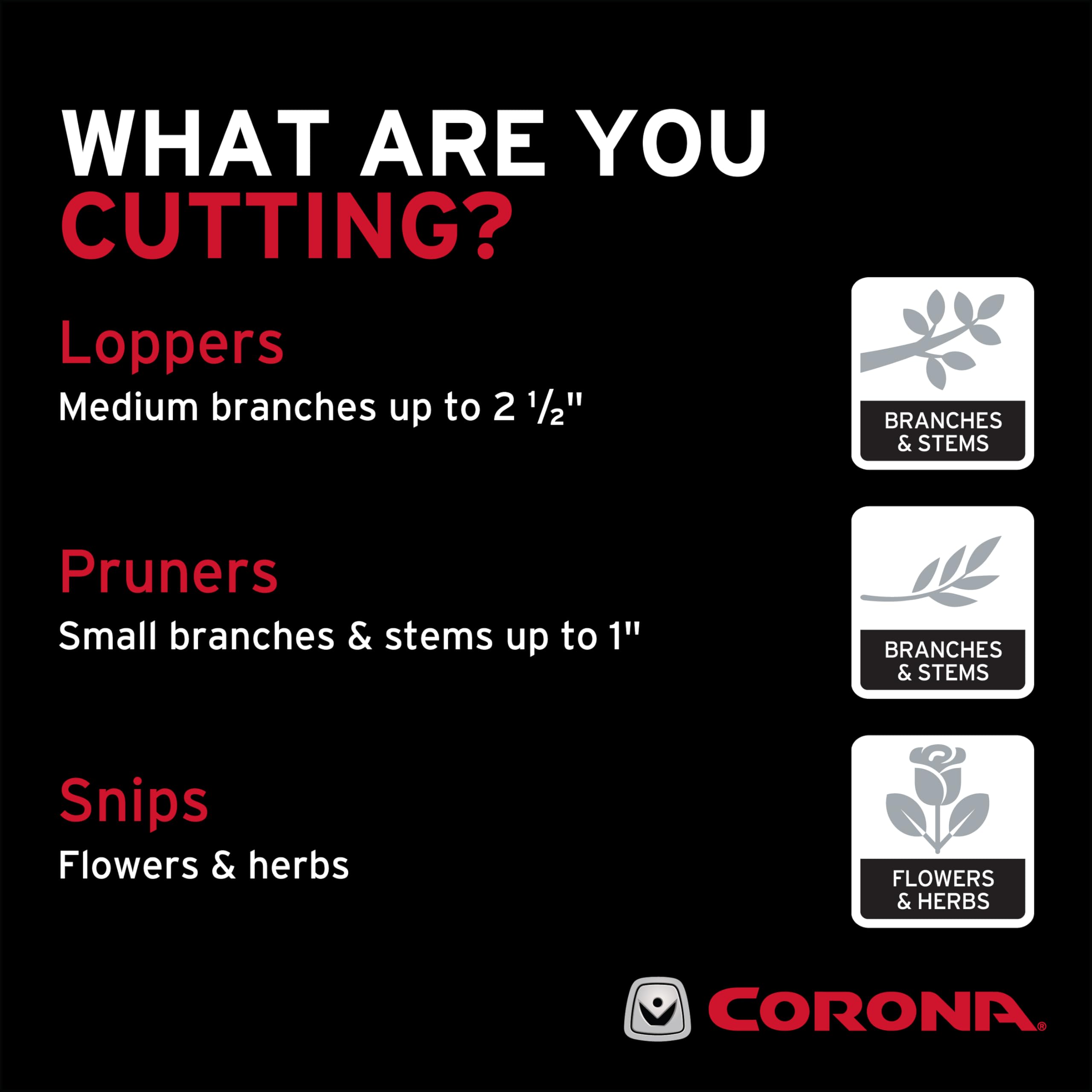 Corona Clipper locked for safe storage with thumb lock engaged