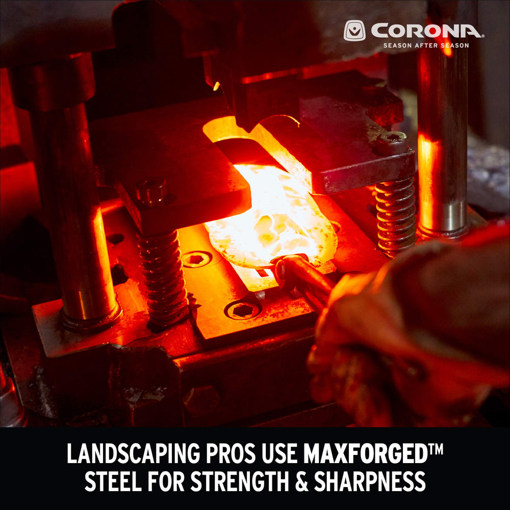Corona Clipper blade close-up showing sharp edge for cleaner cuts