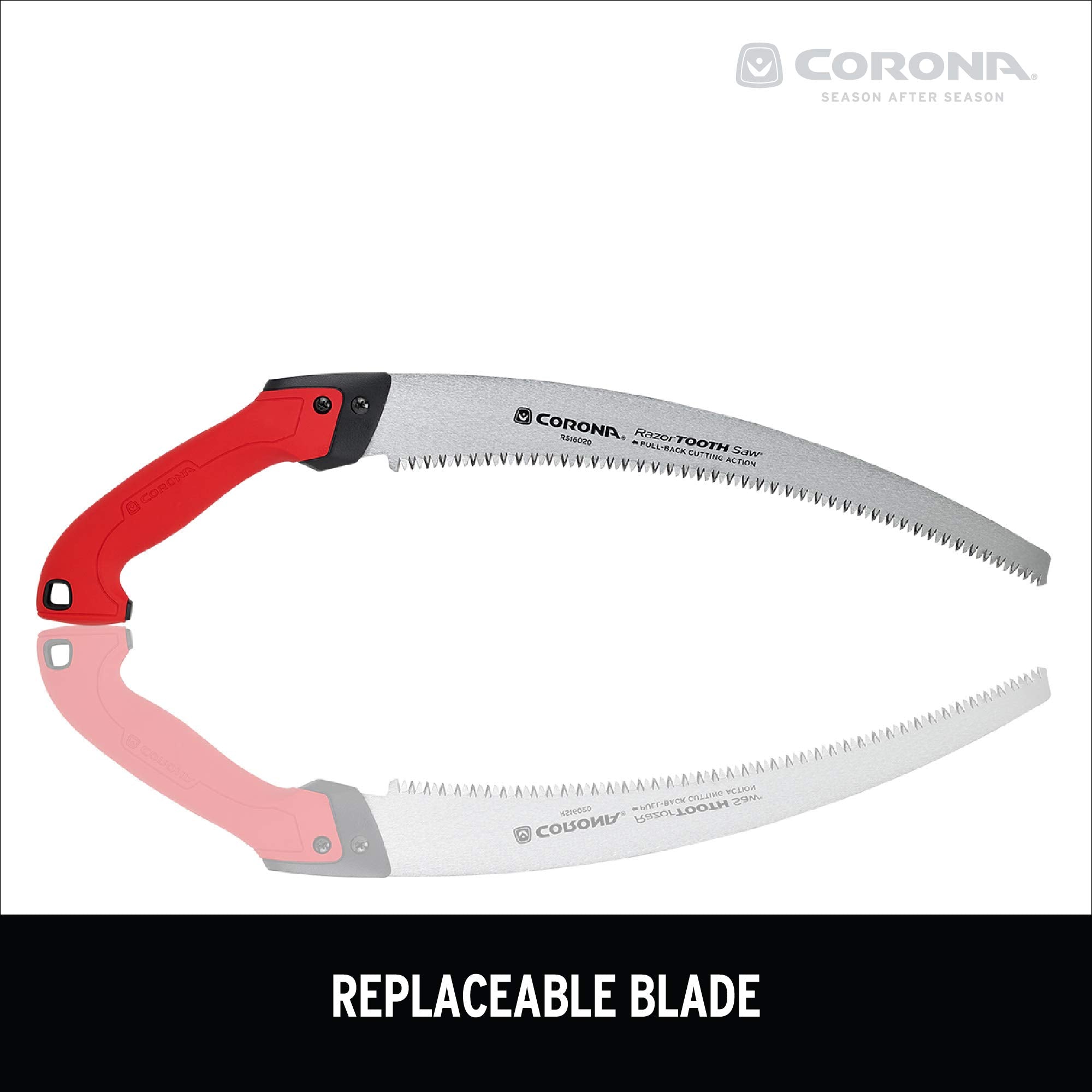 Corona Clipper cleaned blade close-up highlighting easy maintenance