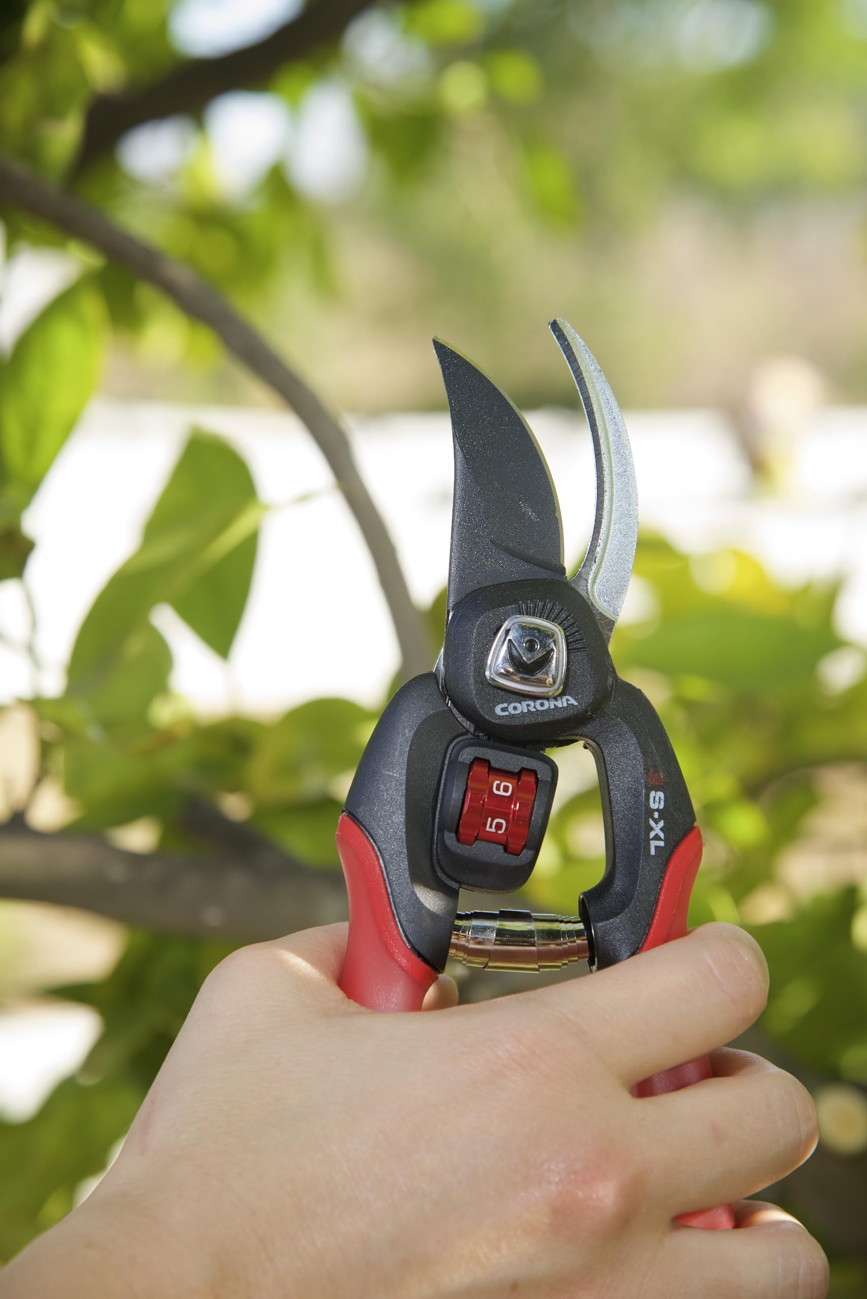 Corona Clipper next to ruler showing 3/4 inch cutting capacity for branch size