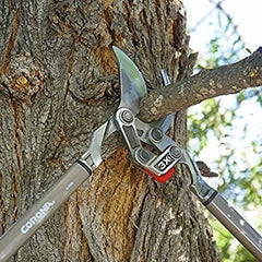 Corona Clipper beside ruler for scale illustrating 33-inch length and improved reach benefit