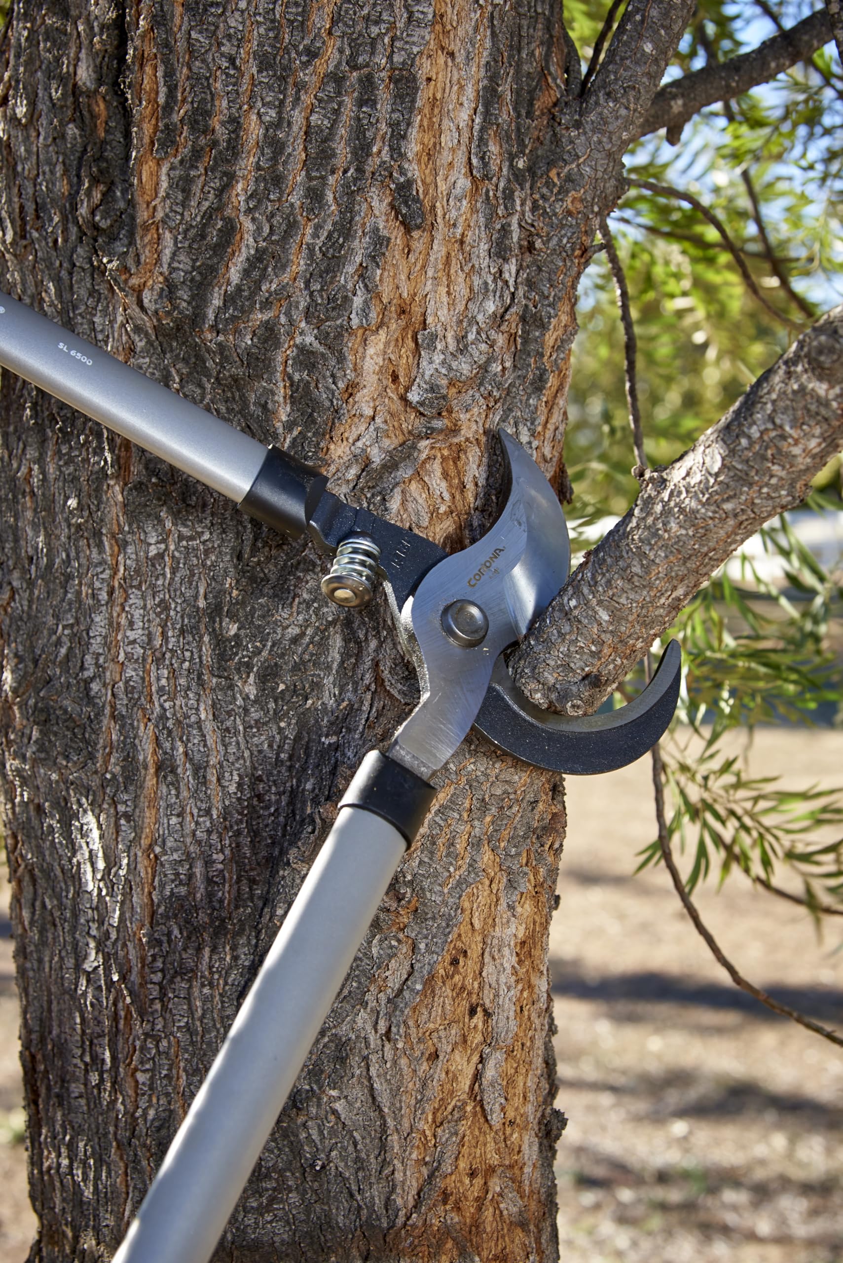 Corona Clipper next to a ruler showing 32-inch scale for reach and cutting capacity