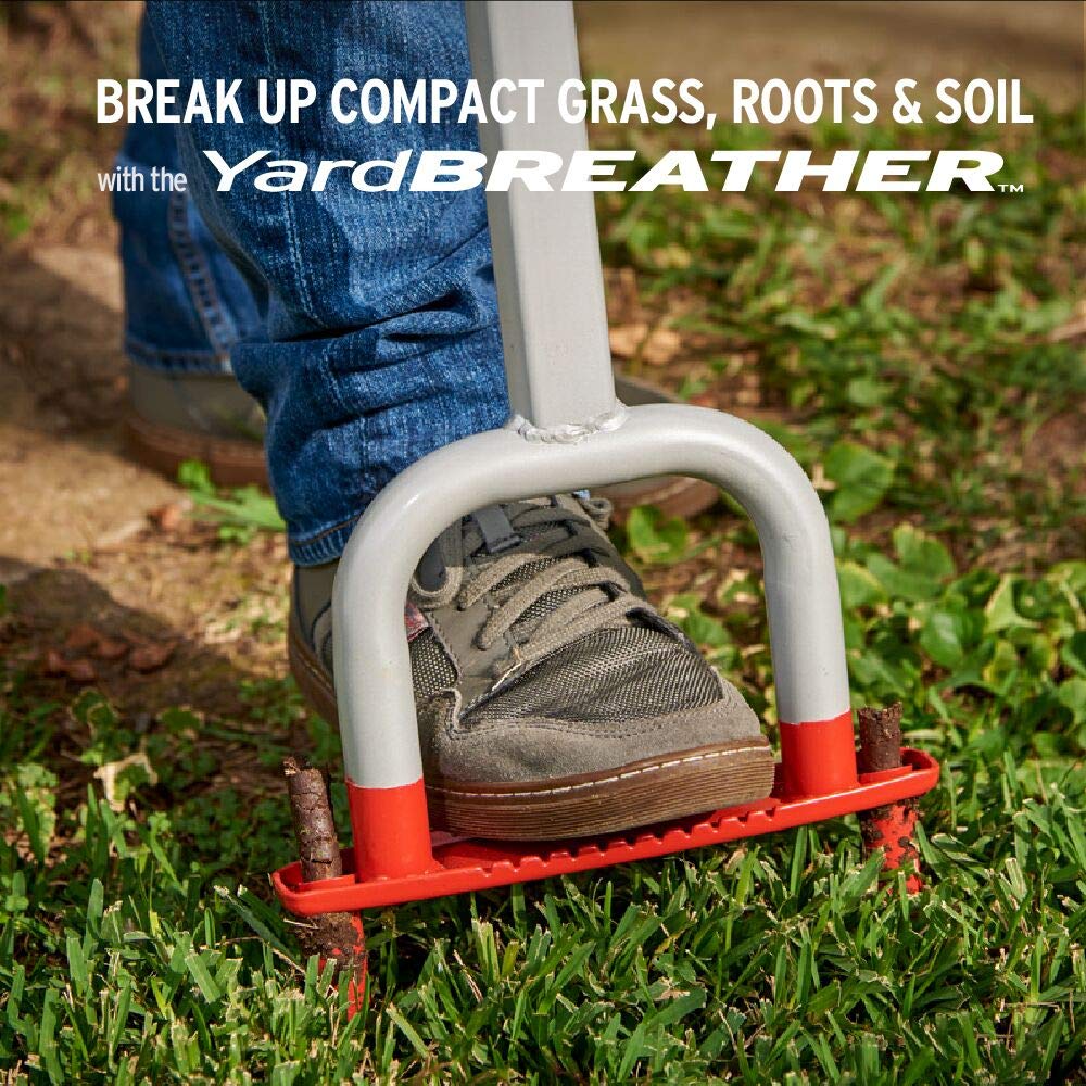 Corona Clipper next to shoe showing tool scale for comfortable homeowner use