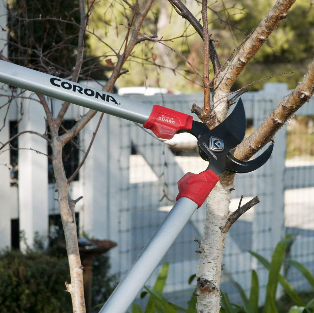 Corona Clipper next to ruler showing scale and reach for accurate selection