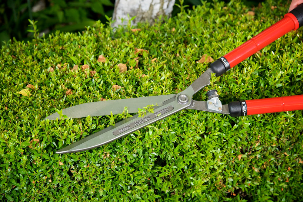 Corona Clipper beside a ruler showing scale and reach for taller hedges