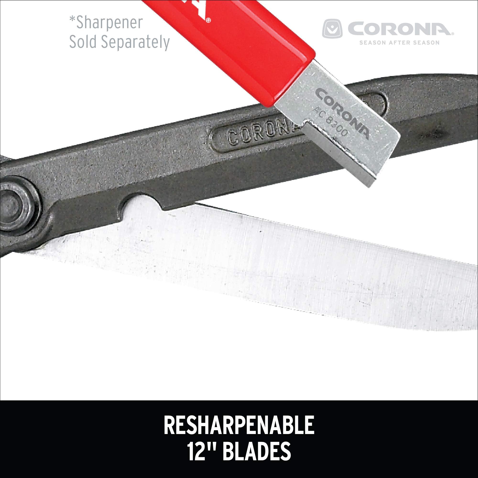 Corona Clipper size comparison next to ruler showing blade length and scale advantage