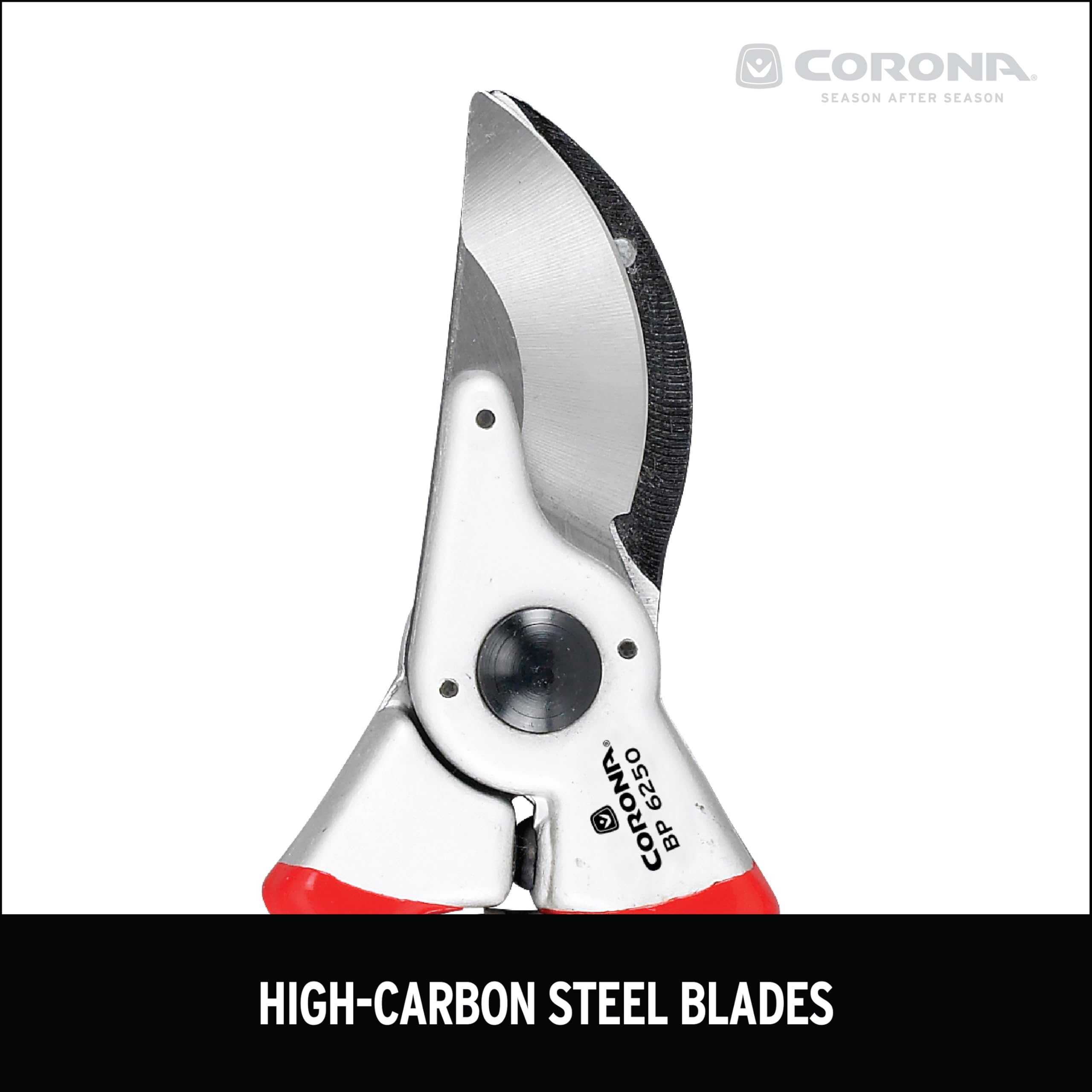 Corona Clipper beside a ruler showing 1-inch cutting capacity for scale