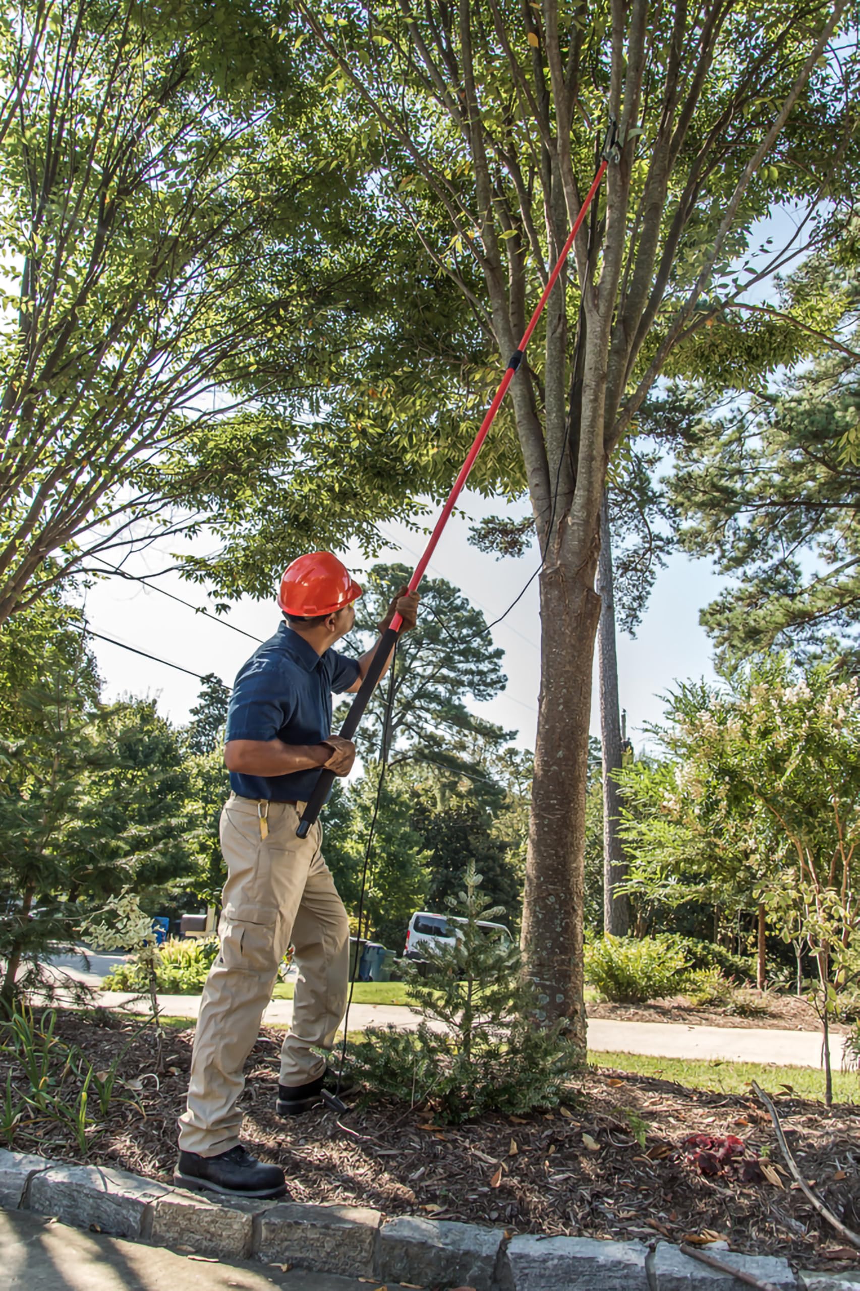 Corona Clipper extended pole at full 14 feet demonstrating safe elevated reach
