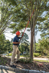 Corona Clipper extended pole at full 14 feet demonstrating safe elevated reach