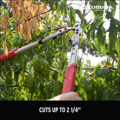 Corona Clipper cutting a thick branch in use demonstrating powerful 2-1/4 inch capacity